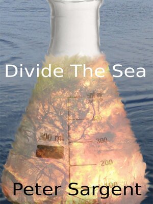 cover image of Divide the Sea